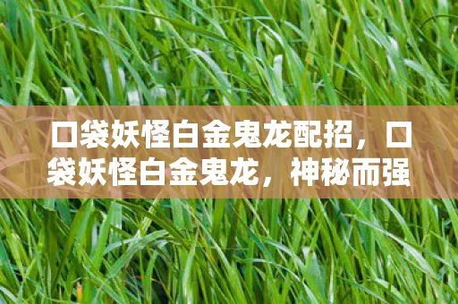 口袋妖怪白金鬼龙配招，口袋妖怪白金鬼龙，神秘而强大的存在