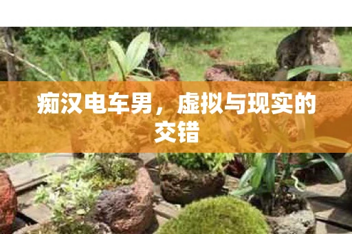 痴汉电车男,虚拟与现实的交错 痴汉电车男,虚拟与现实的交错