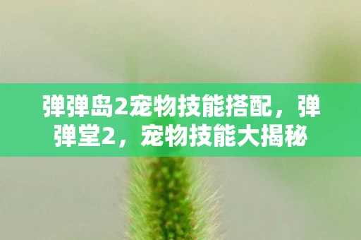 弹弹岛2宠物技能搭配，弹弹堂2，宠物技能大揭秘