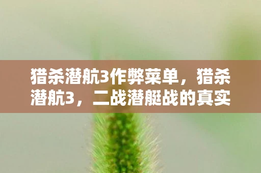 猎杀潜航3作弊菜单，猎杀潜航3，二战潜艇战的真实再现