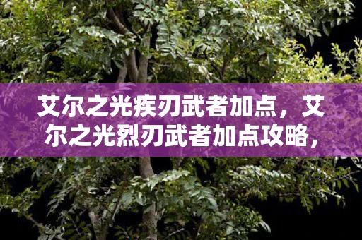 艾尔之光疾刃武者加点，艾尔之光烈刃武者加点攻略，打造最强战斗角色