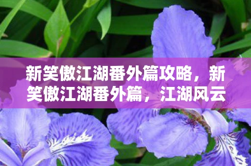 新笑傲江湖番外篇攻略，新笑傲江湖番外篇，江湖风云再起