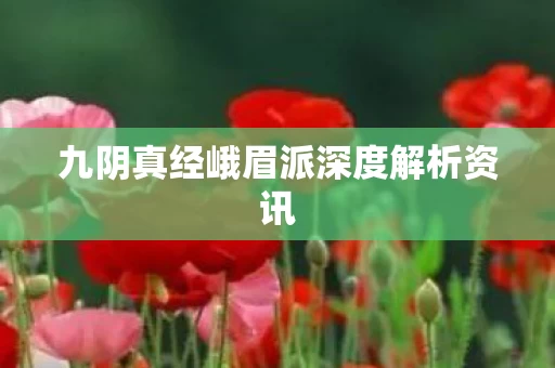 九阴真经峨眉派深度解析资讯图片