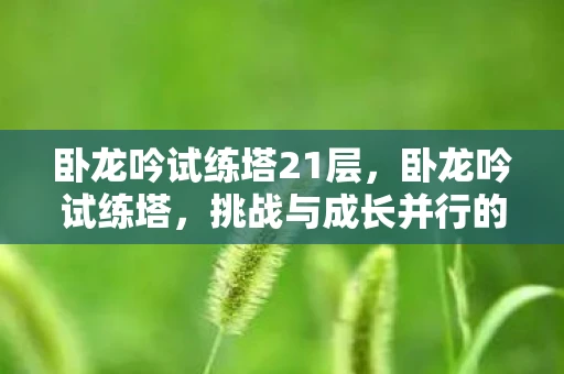 卧龙吟试练塔21层,卧龙吟试练塔,挑战与成长并行的征途 卧龙吟试练塔21层,卧龙吟试练塔,挑战与成长并行的征途