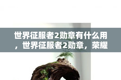 世界征服者2勋章有什么用，世界征服者2勋章，荣耀与历史的见证