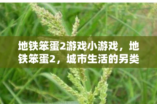 地铁笨蛋2游戏小游戏，地铁笨蛋2，城市生活的另类风景线