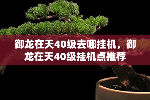 御龙在天40级去哪挂机,御龙在天40级挂机点推荐 御龙在天40级去哪挂机,御龙在天40级挂机点推荐