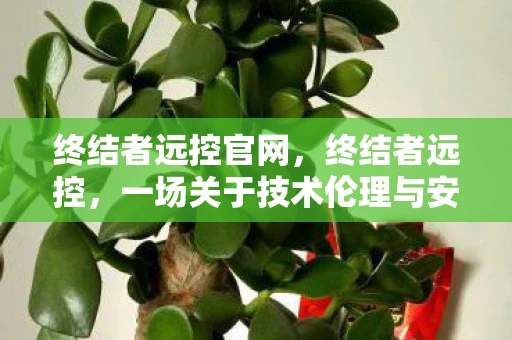 终结者远控官网，终结者远控，一场关于技术伦理与安全的深思