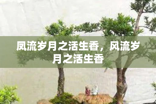 凤流岁月之活生香,风流岁月之活生香 凤流岁月之活生香,风流岁月之活生香