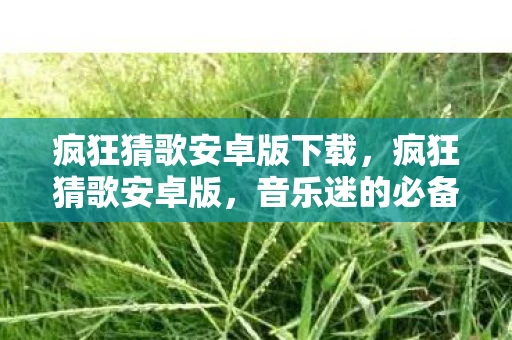 疯狂猜歌安卓版下载，疯狂猜歌安卓版，音乐迷的必备神器