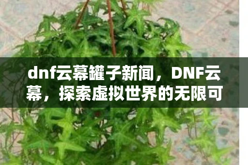 dnf云幕罐子新闻，DNF云幕，探索虚拟世界的无限可能
