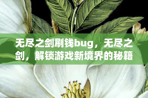 无尽之剑刷钱bug,无尽之剑,解锁游戏新境界的秘籍 无尽之剑刷钱bug,无尽之剑,解锁游戏新境界的秘籍