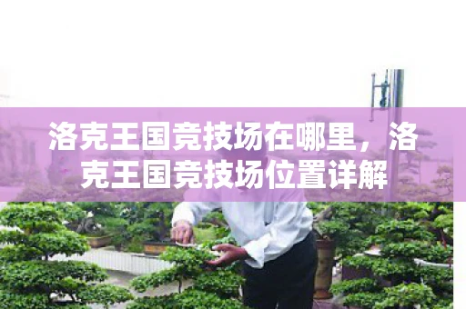 洛克王国竞技场在哪里,洛克王国竞技场位置详解 洛克王国竞技场在哪里,洛克王国竞技场位置详解