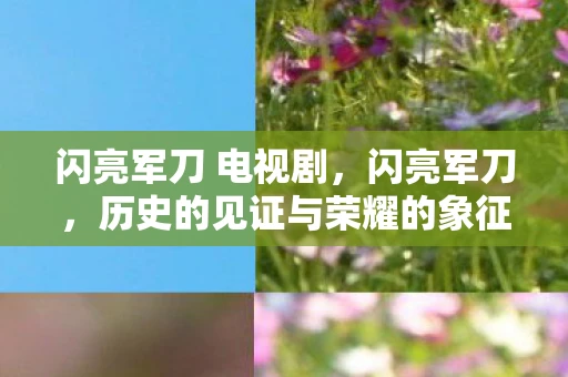 闪亮军刀 电视剧,闪亮军刀,历史的见证与荣耀的象征 闪亮军刀 电视剧,闪亮军刀,历史的见证与荣耀的象征