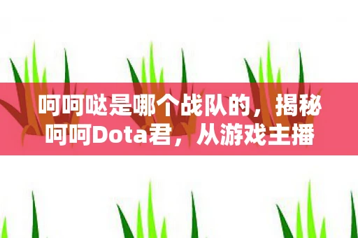 呵呵哒是哪个战队的,揭秘呵呵Dota君,从游戏主播到网络红人的传奇之路 呵呵哒是哪个战队的,揭秘呵呵Dota君,从游戏主播到网络红人的传奇之路