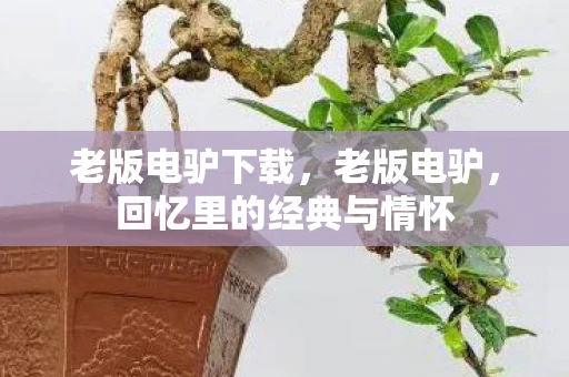 老版电驴下载，老版电驴，回忆里的经典与情怀
