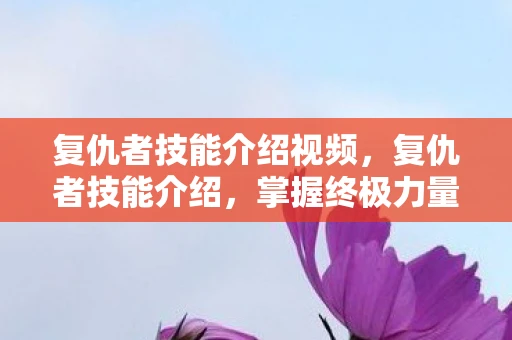 复仇者技能介绍视频，复仇者技能介绍，掌握终极力量，守护正义