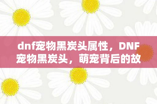 dnf宠物黑炭头属性,DNF宠物黑炭头,萌宠背后的故事与养成攻略 dnf宠物黑炭头属性,DNF宠物黑炭头,萌宠背后的故事与养成攻略