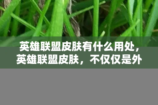 英雄联盟皮肤有什么用处,英雄联盟皮肤,不仅仅是外观的装饰 英雄联盟皮肤有什么用处,英雄联盟皮肤,不仅仅是外观的装饰