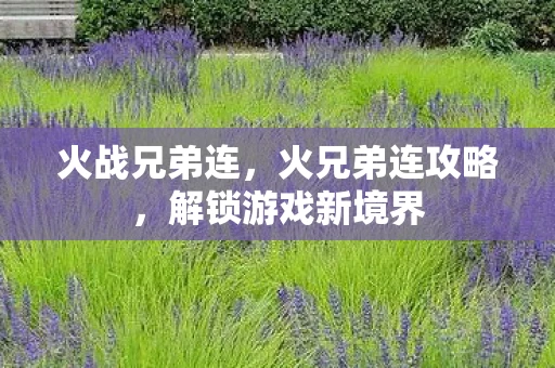 火战兄弟连,火兄弟连攻略,解锁游戏新境界 火战兄弟连,火兄弟连攻略,解锁游戏新境界