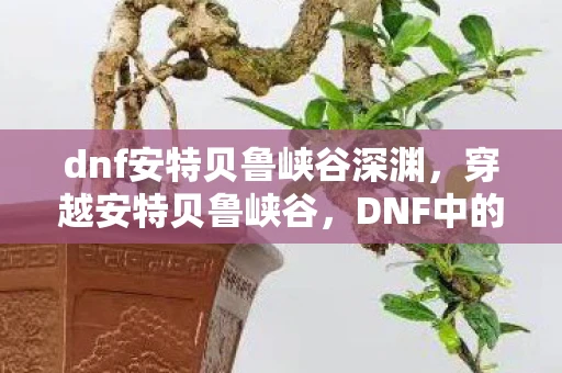 dnf安特贝鲁峡谷深渊，穿越安特贝鲁峡谷，DNF中的神秘之地