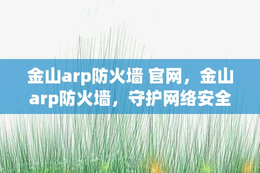 金山arp防火墙 官网，金山arp防火墙，守护网络安全的重要防线