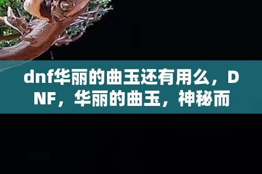dnf华丽的曲玉还有用么，DNF，华丽的曲玉，神秘而实用的道具