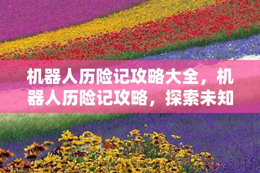 机器人历险记攻略大全,机器人历险记攻略,探索未知,挑战自我 机器人历险记攻略大全,机器人历险记攻略,探索未知,挑战自我