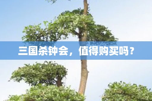 三国杀钟会图片