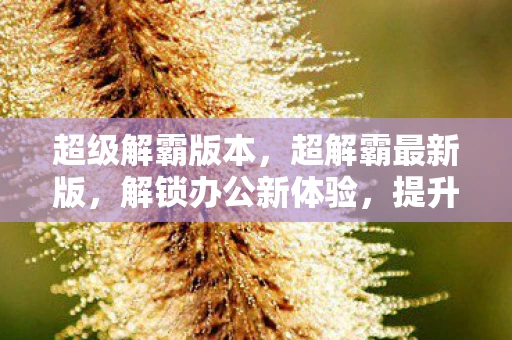 超级解霸版本,超解霸最新版,解锁办公新体验,提升效率与创意 超级解霸版本,超解霸最新版,解锁办公新体验,提升效率与创意