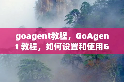goagent教程，GoAgent 教程，如何设置和使用GoAgent代理软件