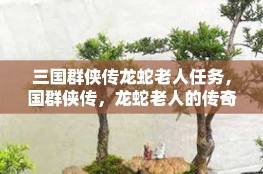 三国群侠传龙蛇老人任务,国群侠传,龙蛇老人的传奇故事 三国群侠传龙蛇老人任务,国群侠传,龙蛇老人的传奇故事