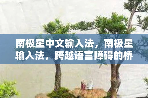 南极星中文输入法,南极星输入法,跨越语言障碍的桥梁 南极星中文输入法,南极星输入法,跨越语言障碍的桥梁