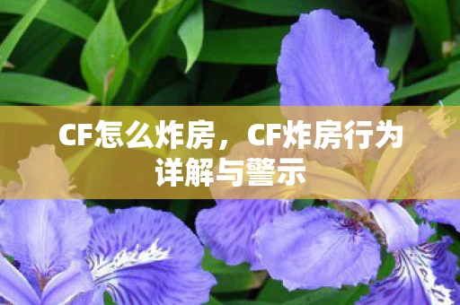 CF怎么炸房,CF炸房行为详解与警示 CF怎么炸房,CF炸房行为详解与警示