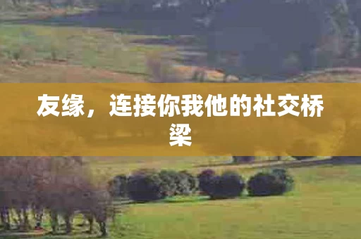 连接你我他的社交桥梁图片