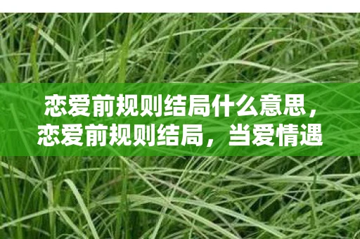 恋爱前规则结局什么意思,恋爱前规则结局,当爱情遇上现实,我们该如何抉择? 恋爱前规则结局什么意思,恋爱前规则结局,当爱情遇上现实,我们该如何抉择?