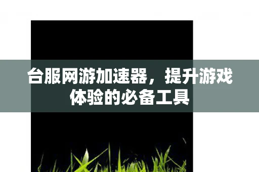 台服网游加速器,提升游戏体验的必备工具 台服网游加速器,提升游戏体验的必备工具