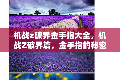 机战z破界金手指大全，机战Z破界篇，金手指的秘密与游戏攻略