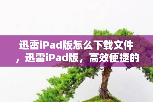 迅雷iPad版怎么下载文件,迅雷iPad版,高效便捷的移动下载利器 迅雷iPad版怎么下载文件,迅雷iPad版,高效便捷的移动下载利器