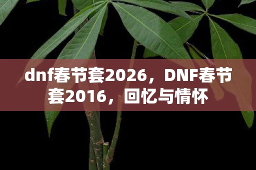 dnf春节套2026，DNF春节套2016，回忆与情怀