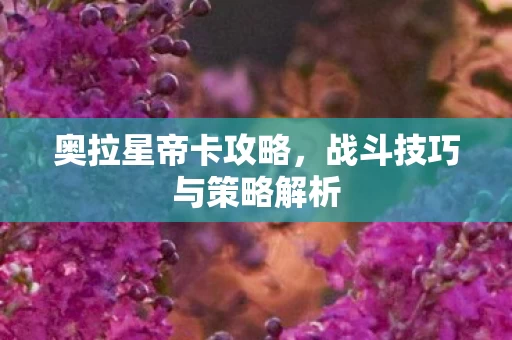 战斗技巧与策略解析图片