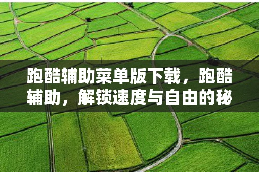 跑酷辅助菜单版下载,跑酷辅助,解锁速度与自由的秘密 跑酷辅助菜单版下载,跑酷辅助,解锁速度与自由的秘密