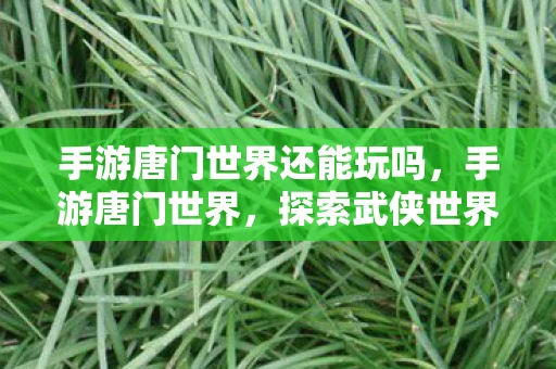 手游唐门世界还能玩吗，手游唐门世界，探索武侠世界的奇幻之旅