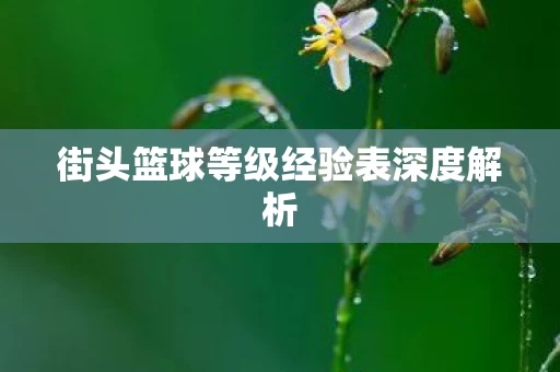 街头篮球等级经验表深度解析图片