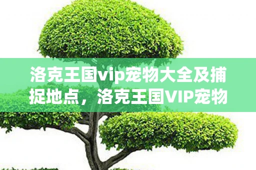 洛克王国vip宠物大全及捕捉地点,洛克王国VIP宠物大全,解锁你的王国之旅 洛克王国vip宠物大全及捕捉地点,洛克王国VIP宠物大全,解锁你的王国之旅