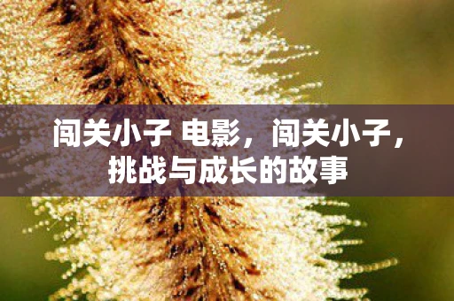 闯关小子 电影,闯关小子,挑战与成长的故事 闯关小子 电影,闯关小子,挑战与成长的故事