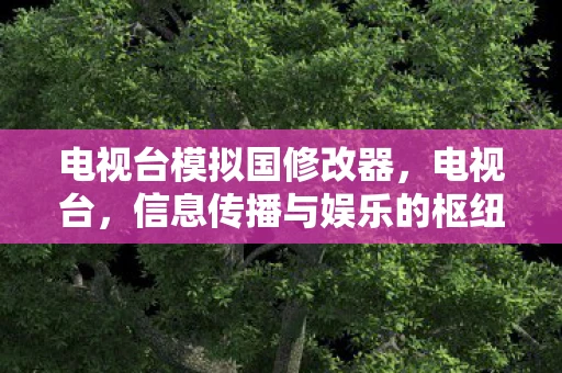 电视台模拟国修改器,电视台,信息传播与娱乐的枢纽 电视台模拟国修改器,电视台,信息传播与娱乐的枢纽
