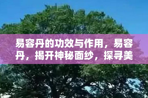 易容丹的功效与作用,易容丹,揭开神秘面纱,探寻美容圣品的奥秘 易容丹的功效与作用,易容丹,揭开神秘面纱,探寻美容圣品的奥秘