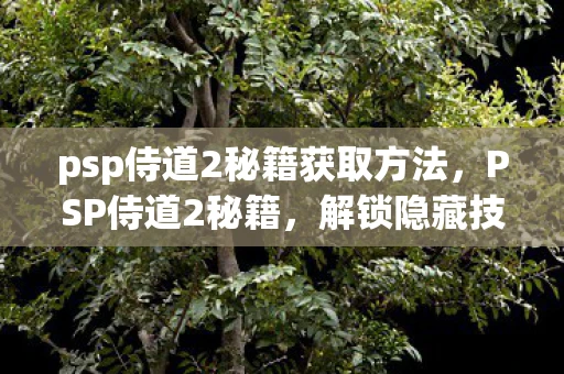 psp侍道2秘籍获取方法,PSP侍道2秘籍,解锁隐藏技能与角色,提升游戏体验 psp侍道2秘籍获取方法,PSP侍道2秘籍,解锁隐藏技能与角色,提升游戏体验
