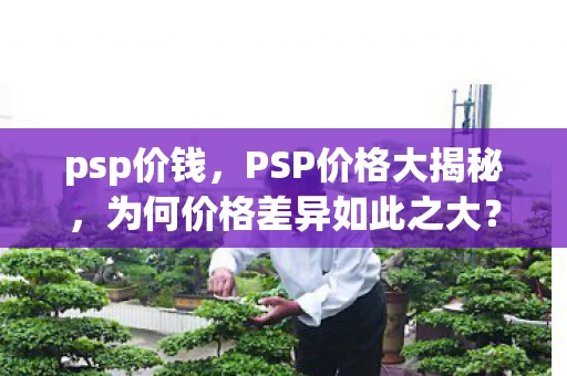 psp价钱,PSP价格大揭秘,为何价格差异如此之大? psp价钱,PSP价格大揭秘,为何价格差异如此之大?